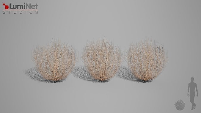 Thumbleweed 1 Desert foliage 23 of 25 Low-poly 3D model Low-poly 3D model