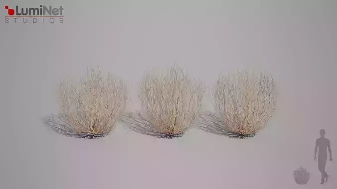 Thumbleweed 1 Desert foliage 23 of 25 Low-poly 3D model Low-poly 3D model