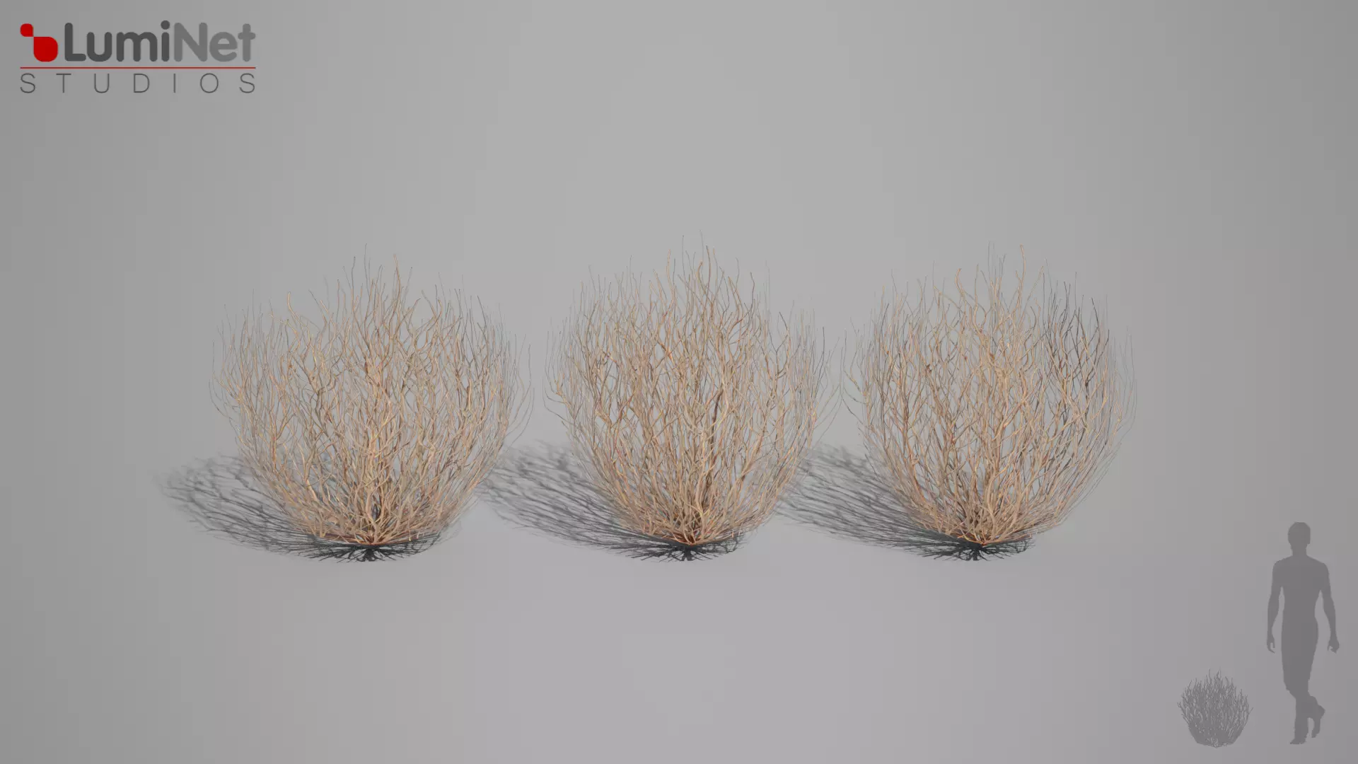 Thumbleweed 1 Desert foliage 23 of 25 Low-poly 3D model Low-poly 3D model_0
