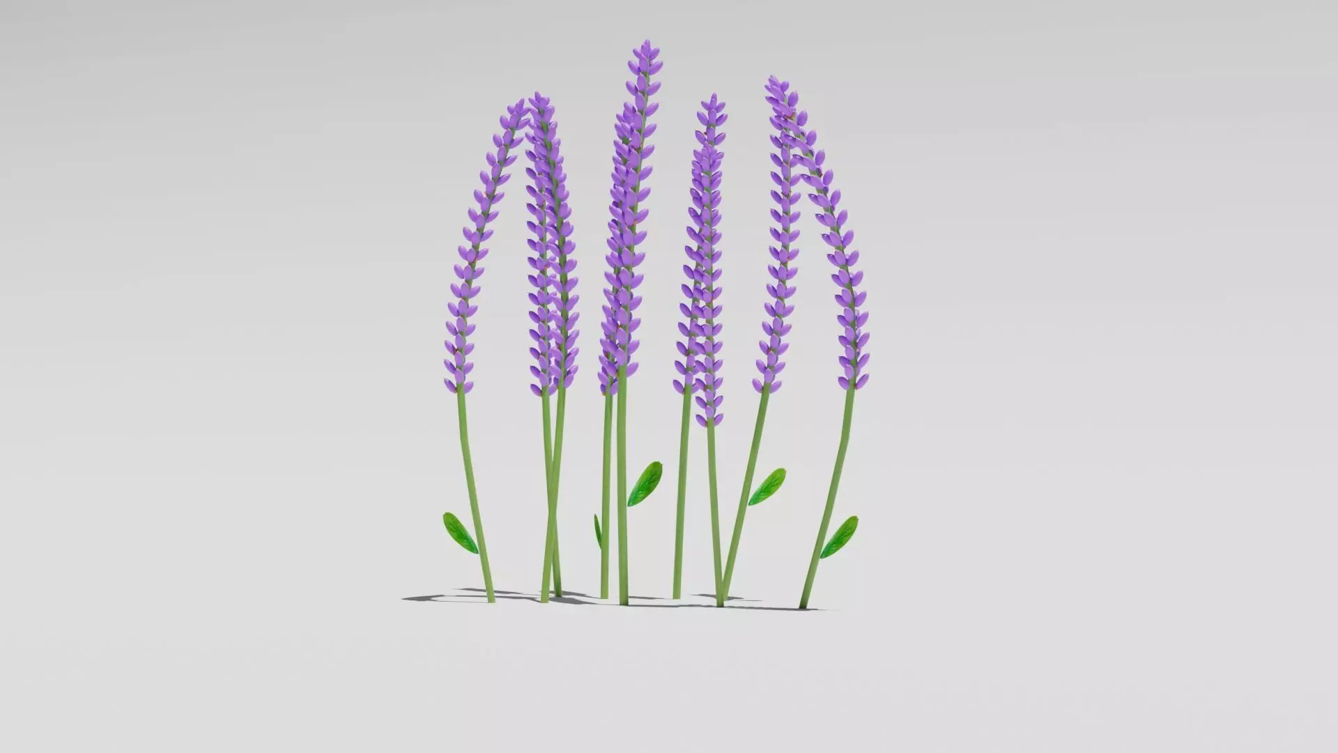 lavender flower Low-poly 3D model