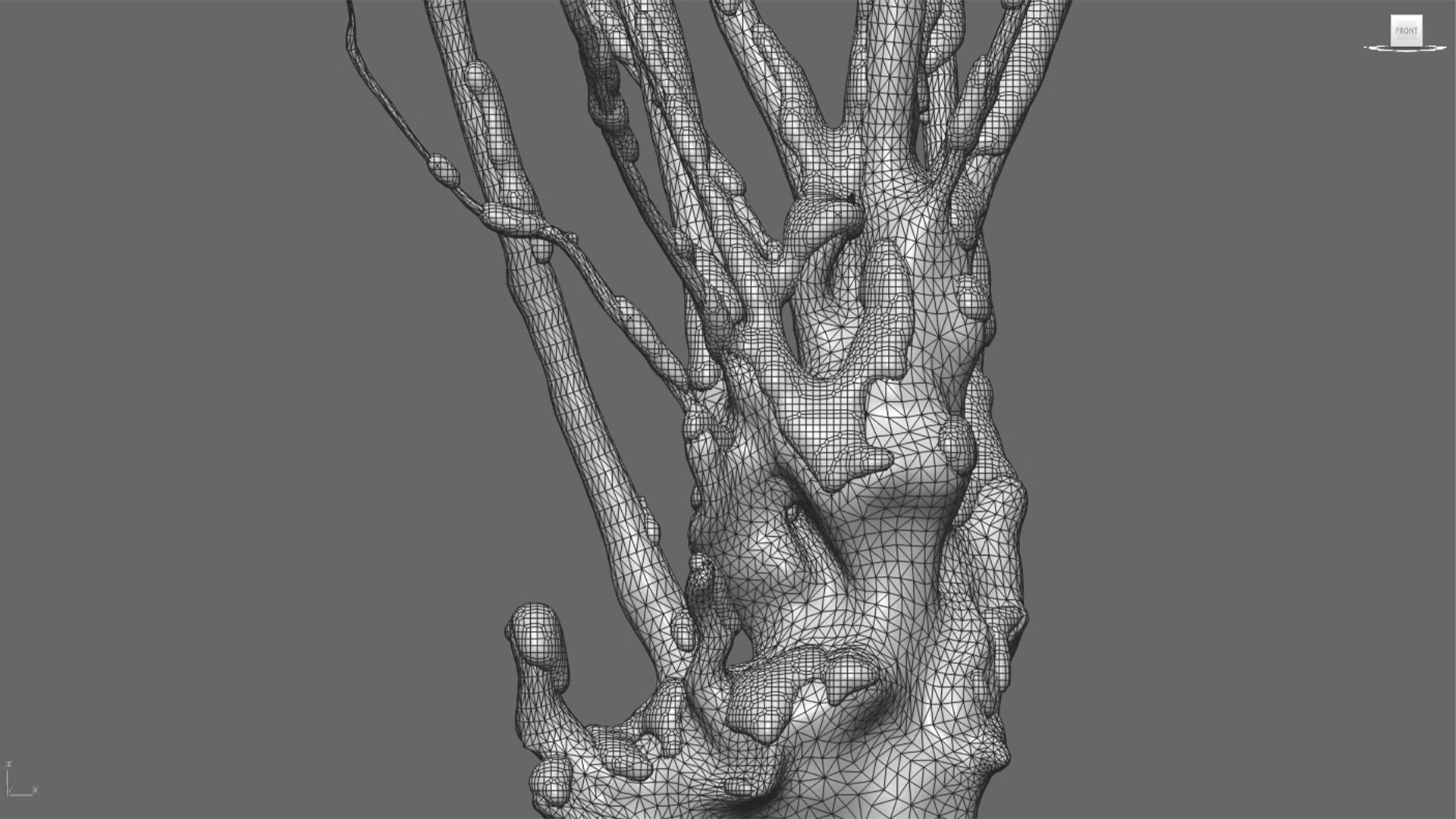 Barringtonia acutangula - winter 3D model_4