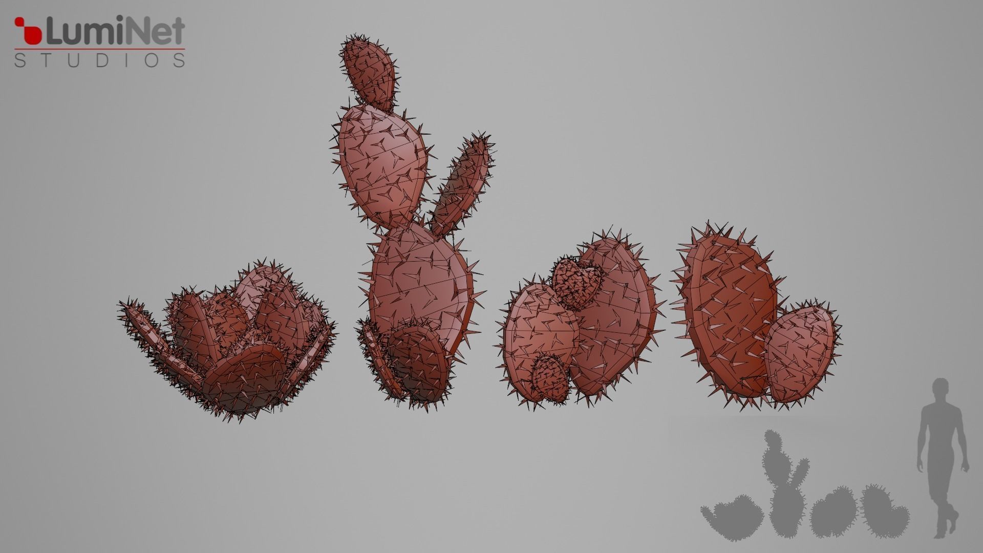 Opuntia foliage 13 of 25 Low-poly 3D model Low-poly 3D model_1