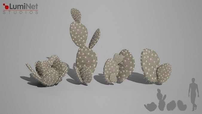 Opuntia foliage 13 of 25 Low-poly 3D model Low-poly 3D model