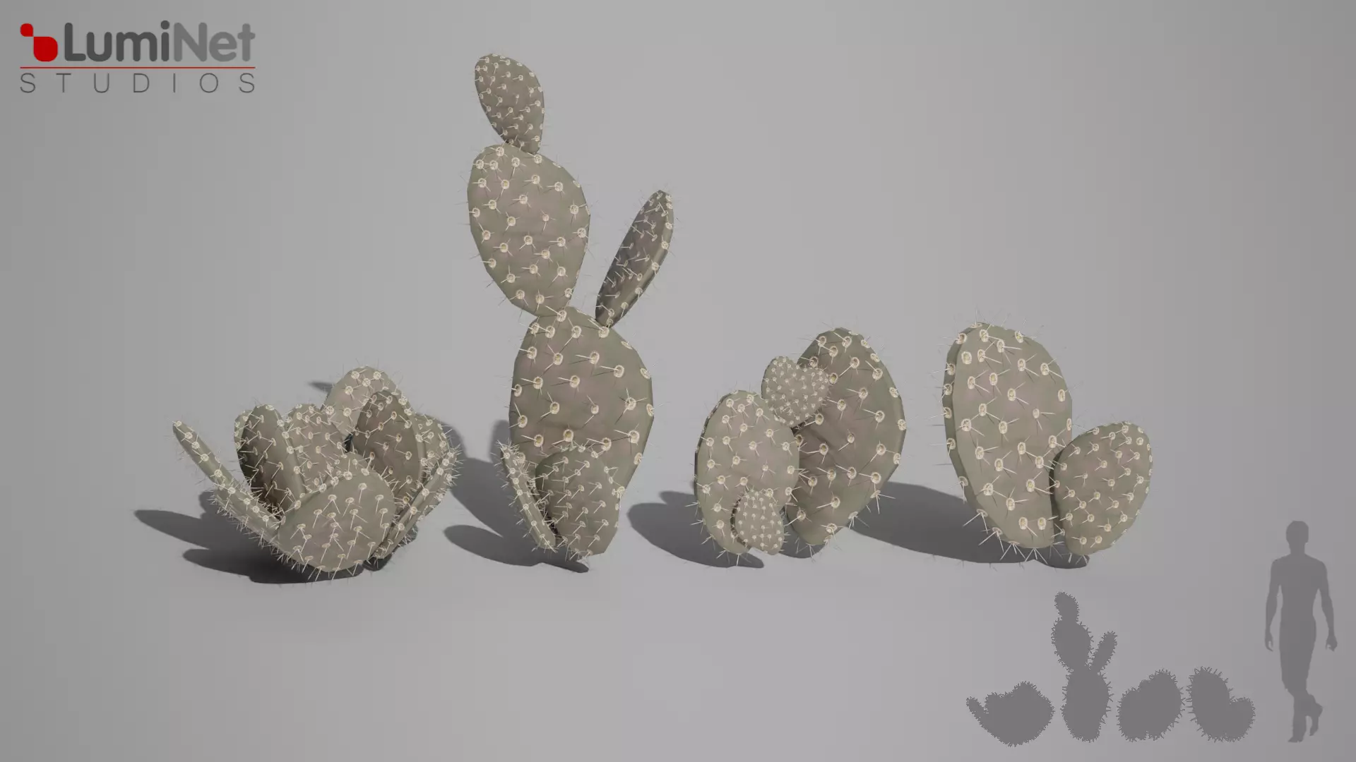 Opuntia foliage 13 of 25 Low-poly 3D model Low-poly 3D model_0