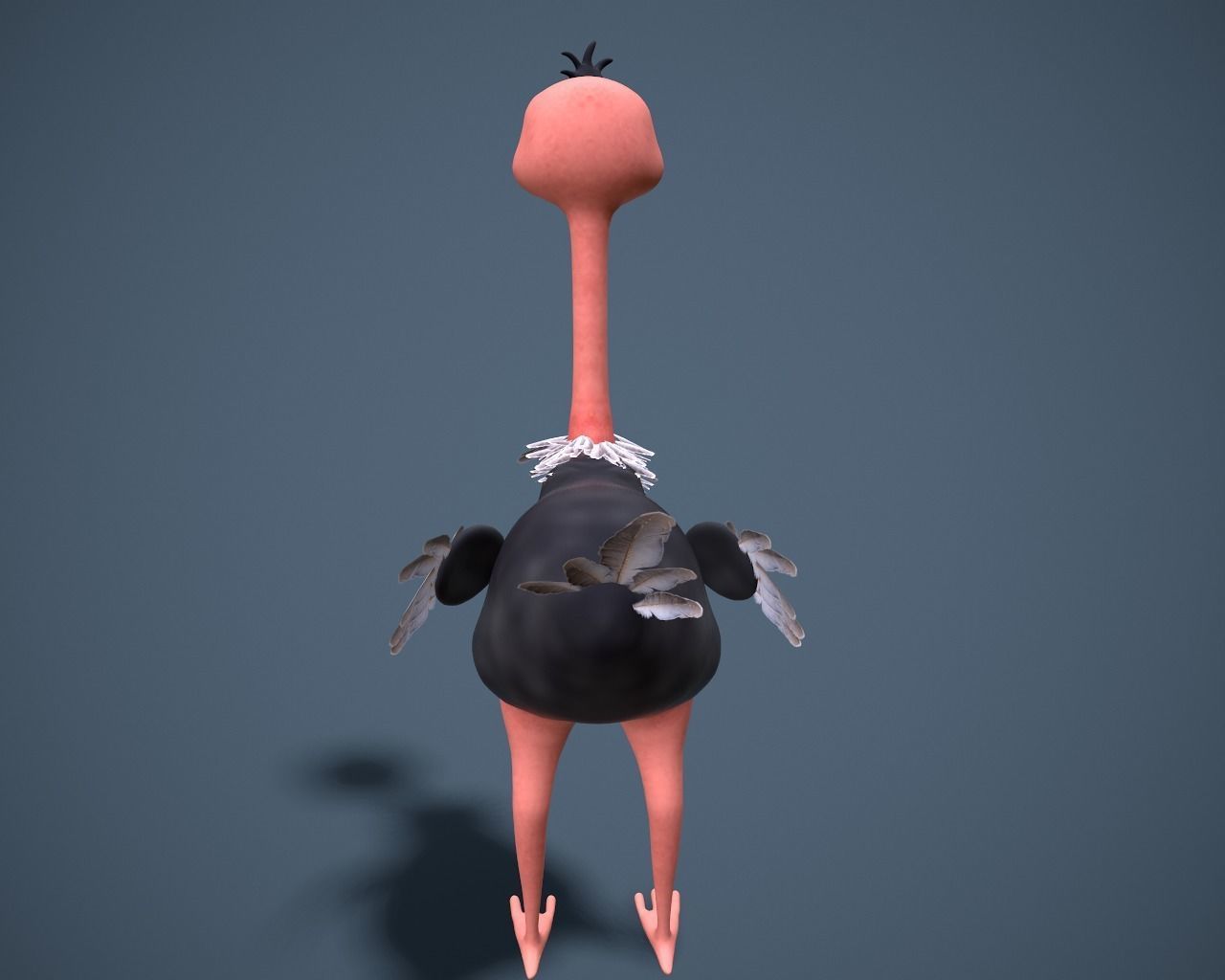 cartoon oistrich Low-poly 3D model_5