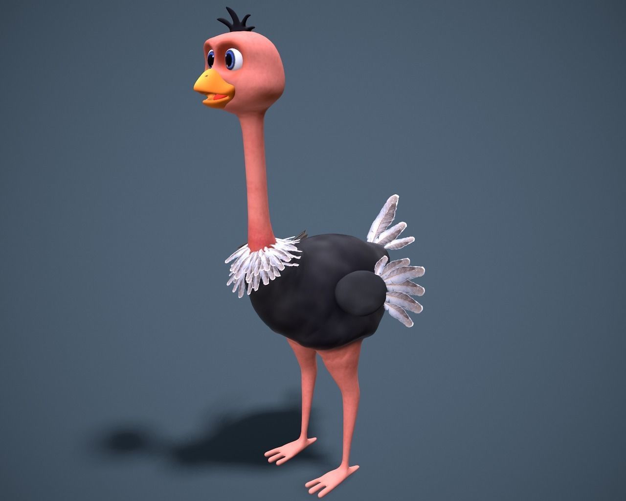 cartoon oistrich Low-poly 3D model_6