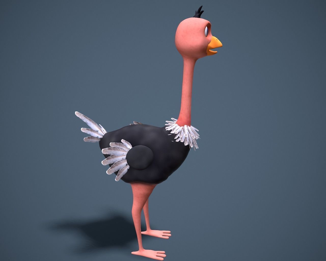 cartoon oistrich Low-poly 3D model_3