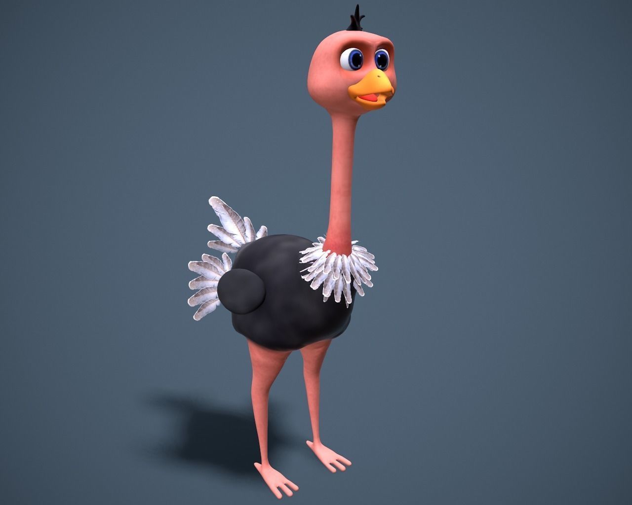 cartoon oistrich Low-poly 3D model_2