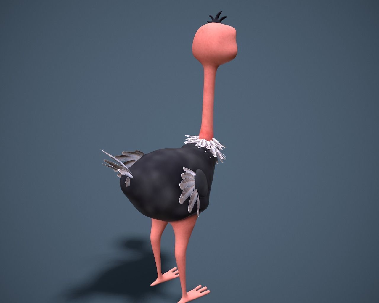 cartoon oistrich Low-poly 3D model_4