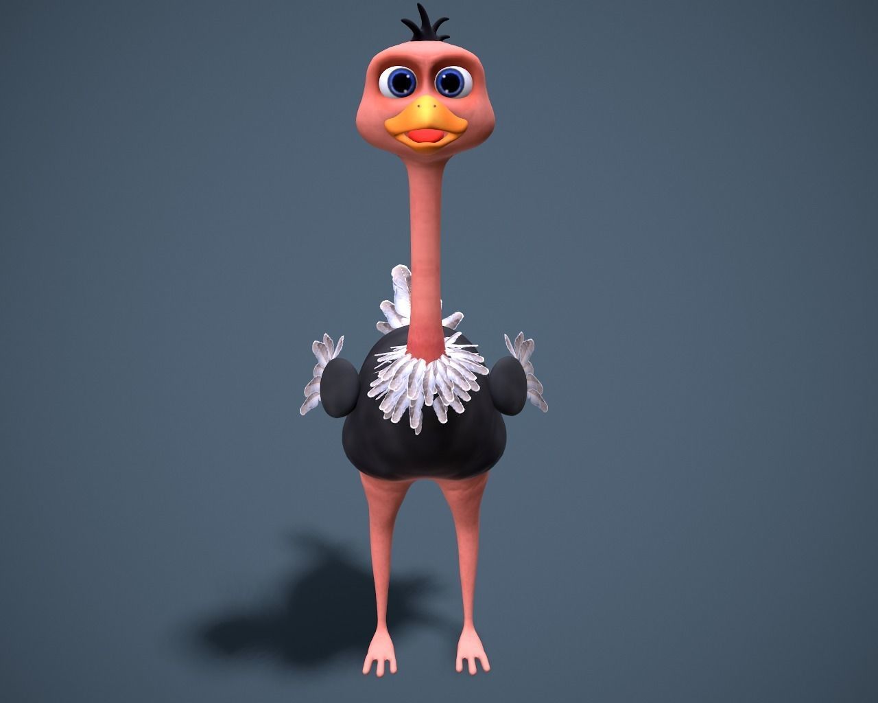 cartoon oistrich Low-poly 3D model_7