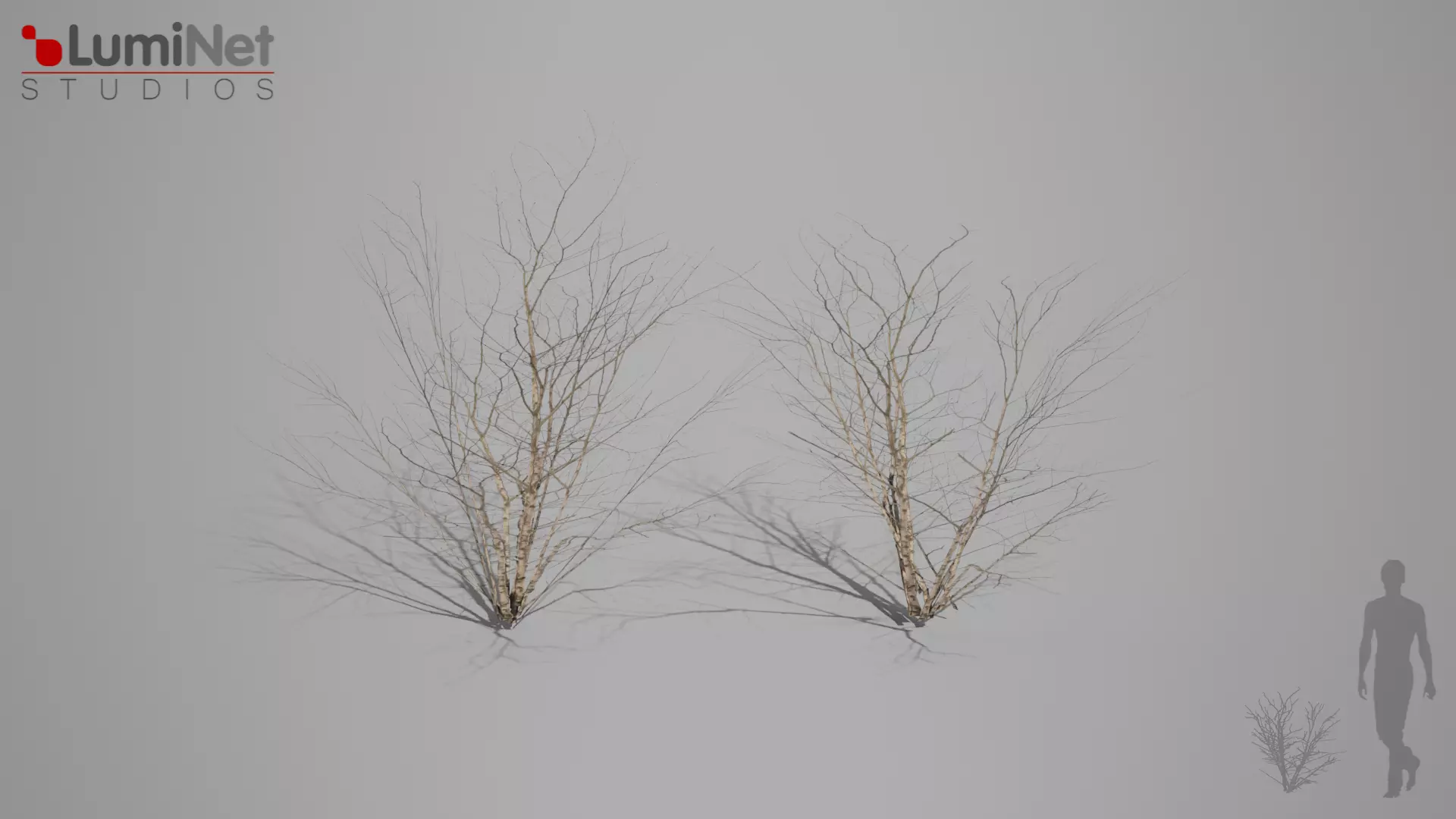 DryBush 2 foliage 12 of 25 Low-poly 3D model Low-poly 3D model_0