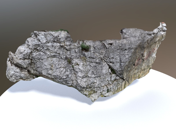 Scanned White Rock Wall Low-poly 3D model