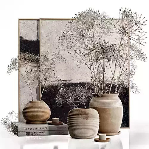 Decor set 32 Heracleum plant