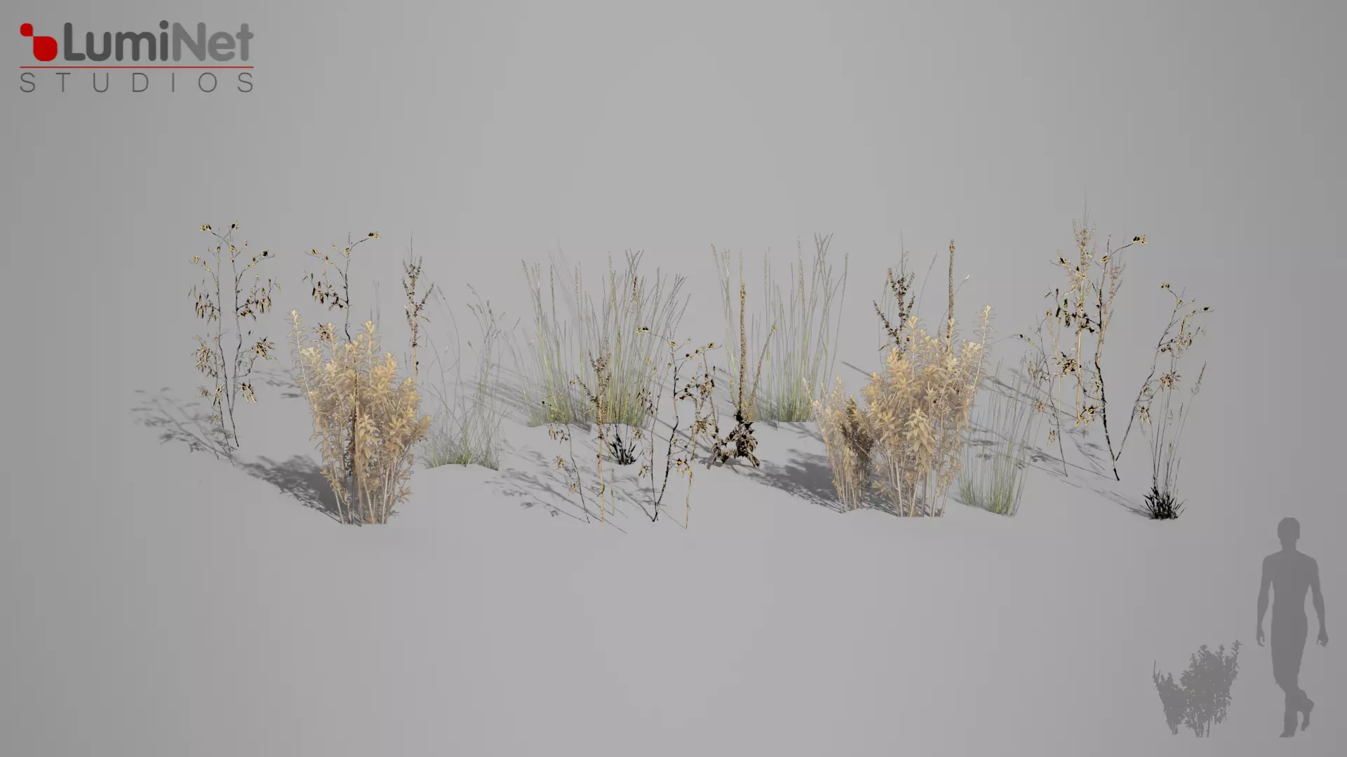 Dead grass foliage 10 of 25 Low-poly 3D model Low-poly 3D model_0