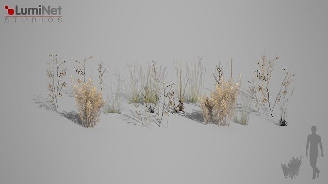 Dead grass foliage 10 of 25 Low-poly 3D model Low-poly 3D model