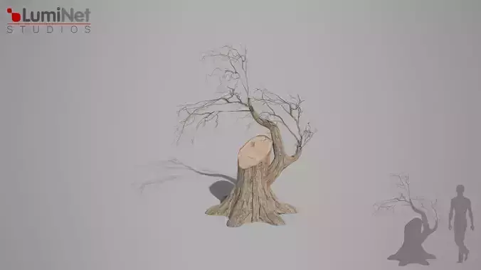 Deadsapling 02 foliage 9 of 25 Low-poly 3D model