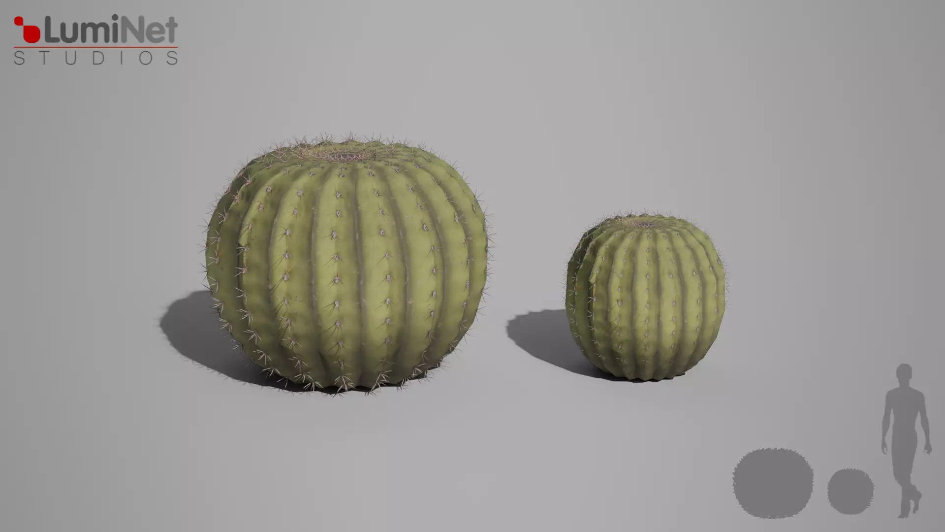 Cactus 3 foliage 5 of 25 Low-poly 3D model Low-poly 3D model_0