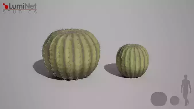 Cactus 3 foliage 5 of 25 Low-poly 3D model