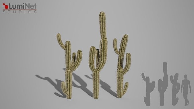 Cactus 2 foliage 4 of 25 Low-poly 3D model Low-poly 3D model