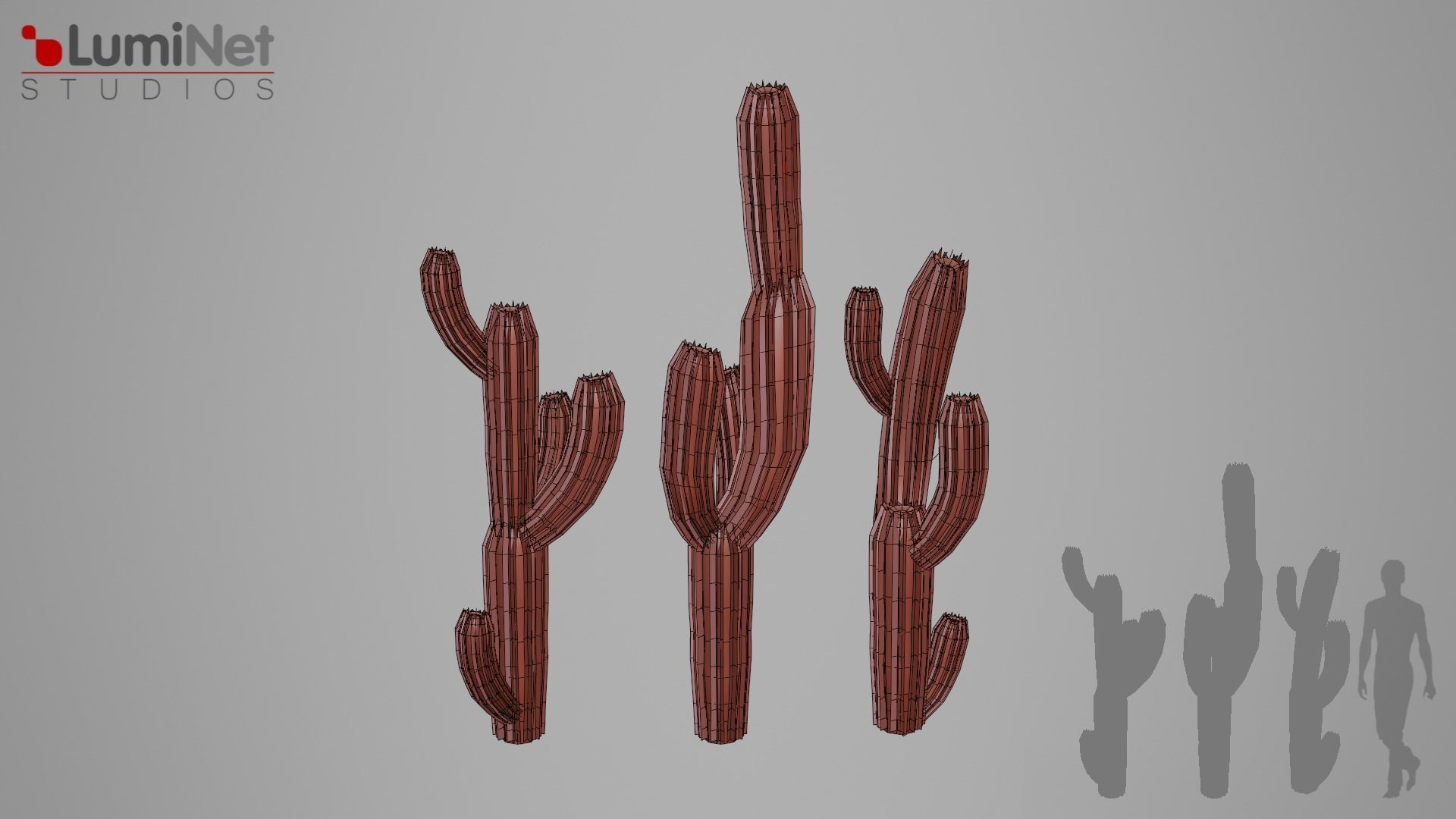 Cactus 2 foliage 4 of 25 Low-poly 3D model Low-poly 3D model_1