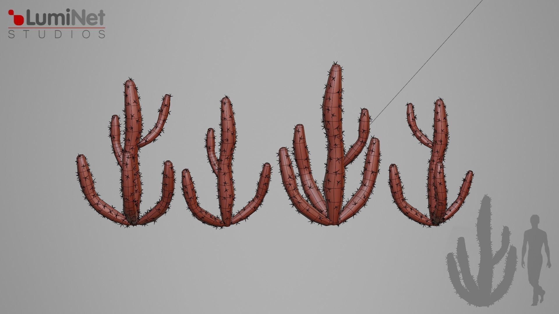 Cactus 1 foliage 3 of 25 Low-poly 3D model Low-poly 3D model_1