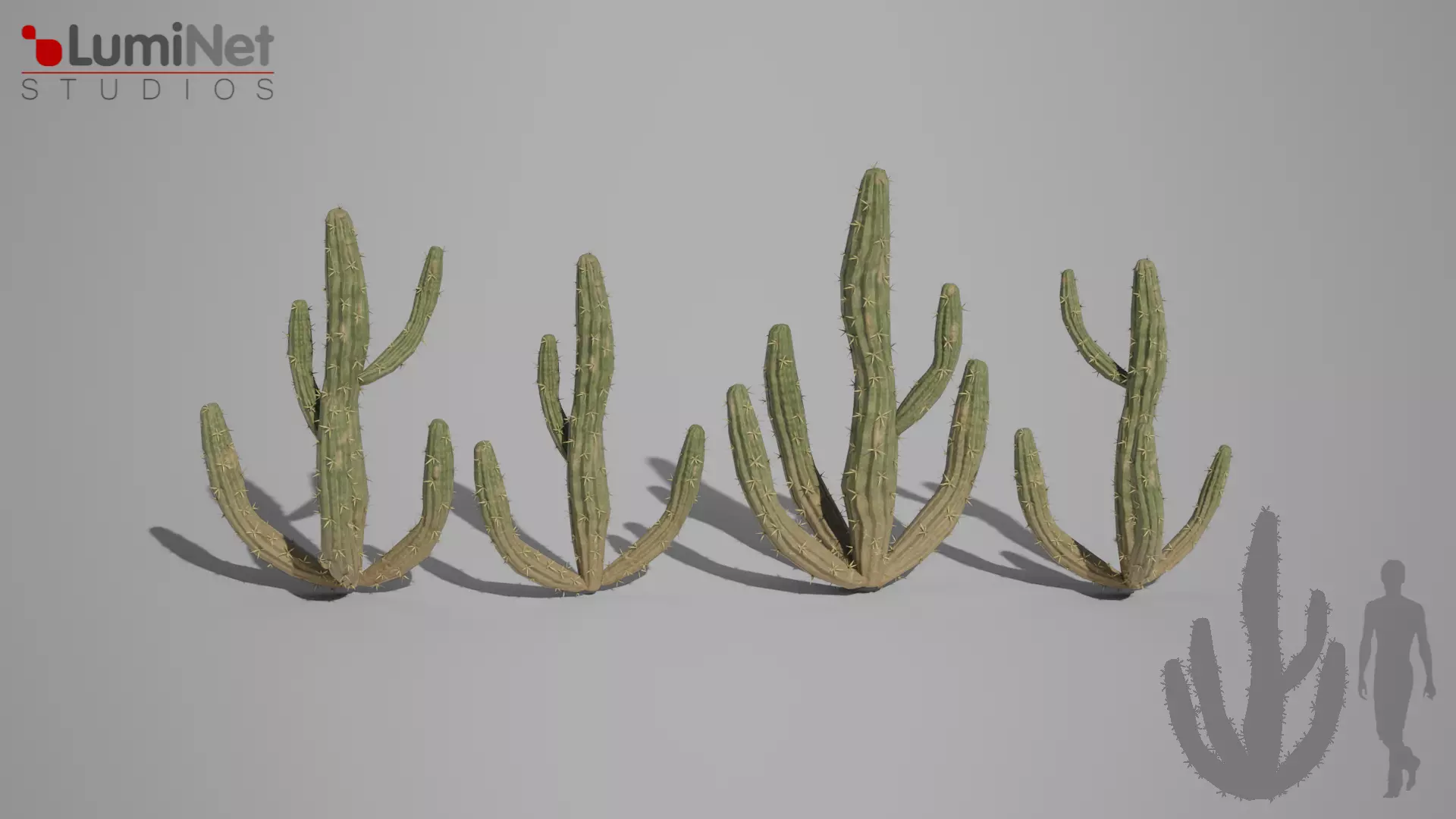 Cactus 1 foliage 3 of 25 Low-poly 3D model Low-poly 3D model_0