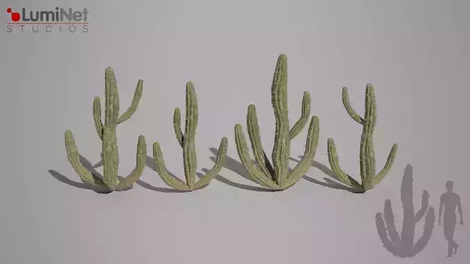 Cactus 1 foliage 3 of 25 Low-poly 3D model