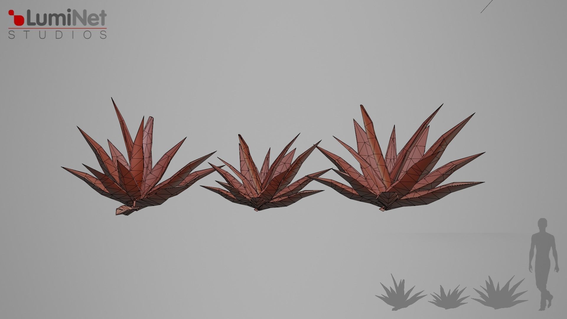 Aloe foliage 2 of 25 Low-poly 3D model Low-poly 3D model_1