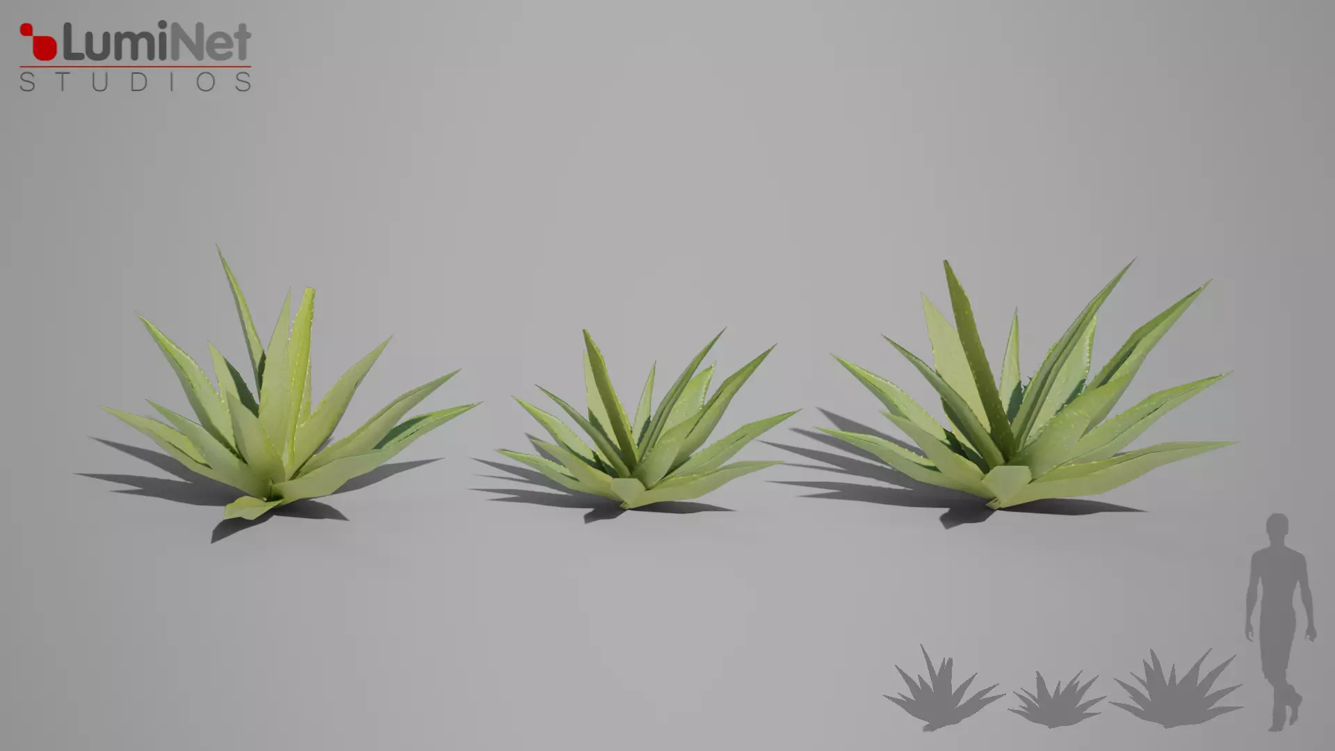Aloe foliage 2 of 25 Low-poly 3D model Low-poly 3D model_0