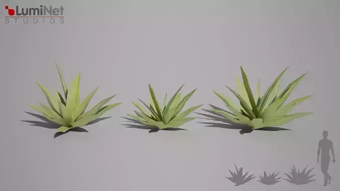 Aloe foliage 2 of 25 Low-poly 3D model Low-poly 3D model Aloe foliage 2 of 25 Low-poly 3D model Low-poly 3D model