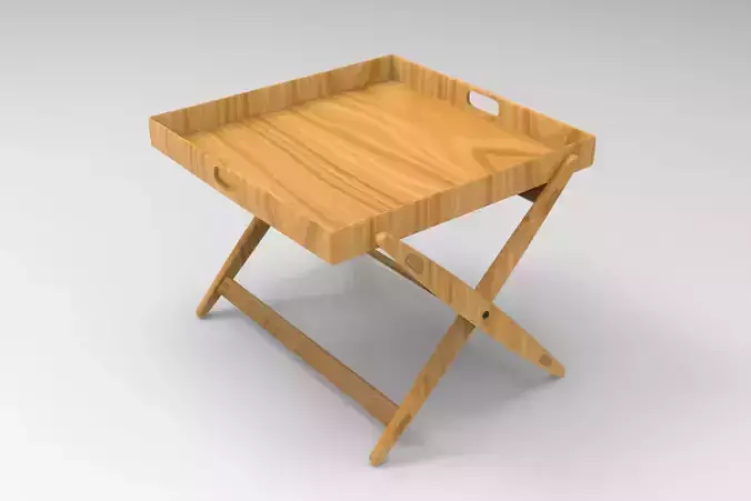 Low Coffee Table with Tray