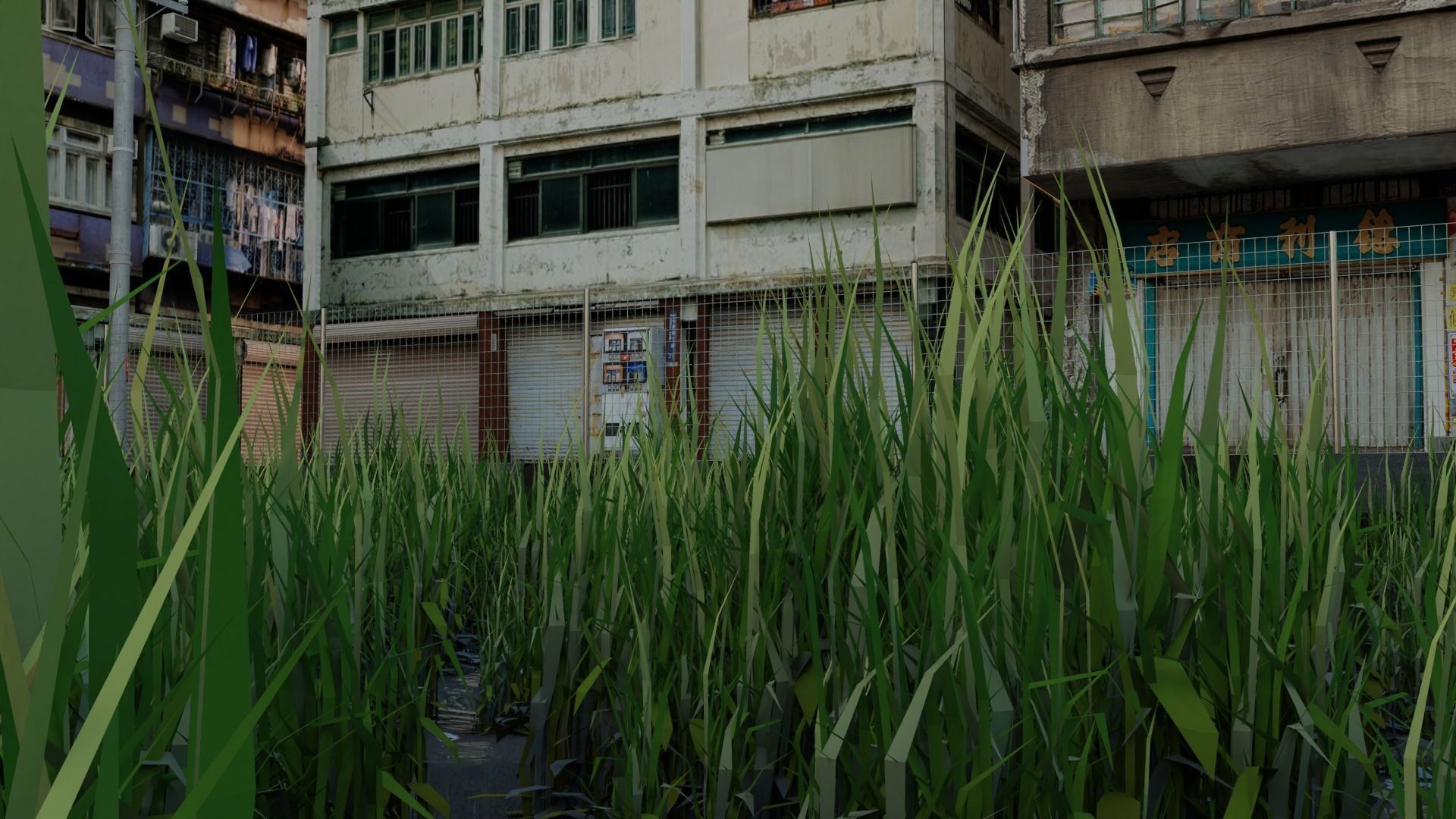 Back Street 2 Free low-poly 3D model_6