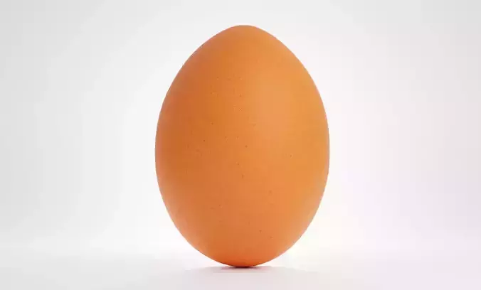 Chicken Egg 3D model