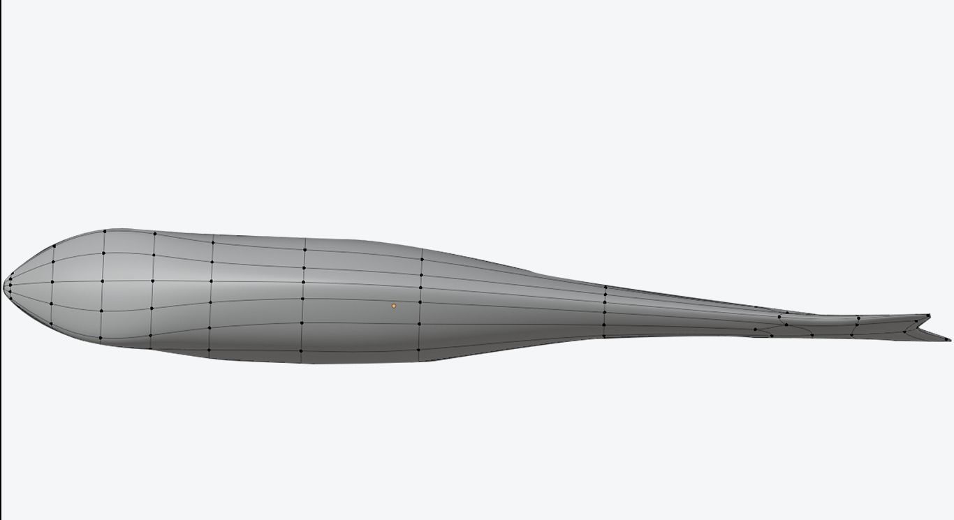 Minnow Mold 3D print model_4