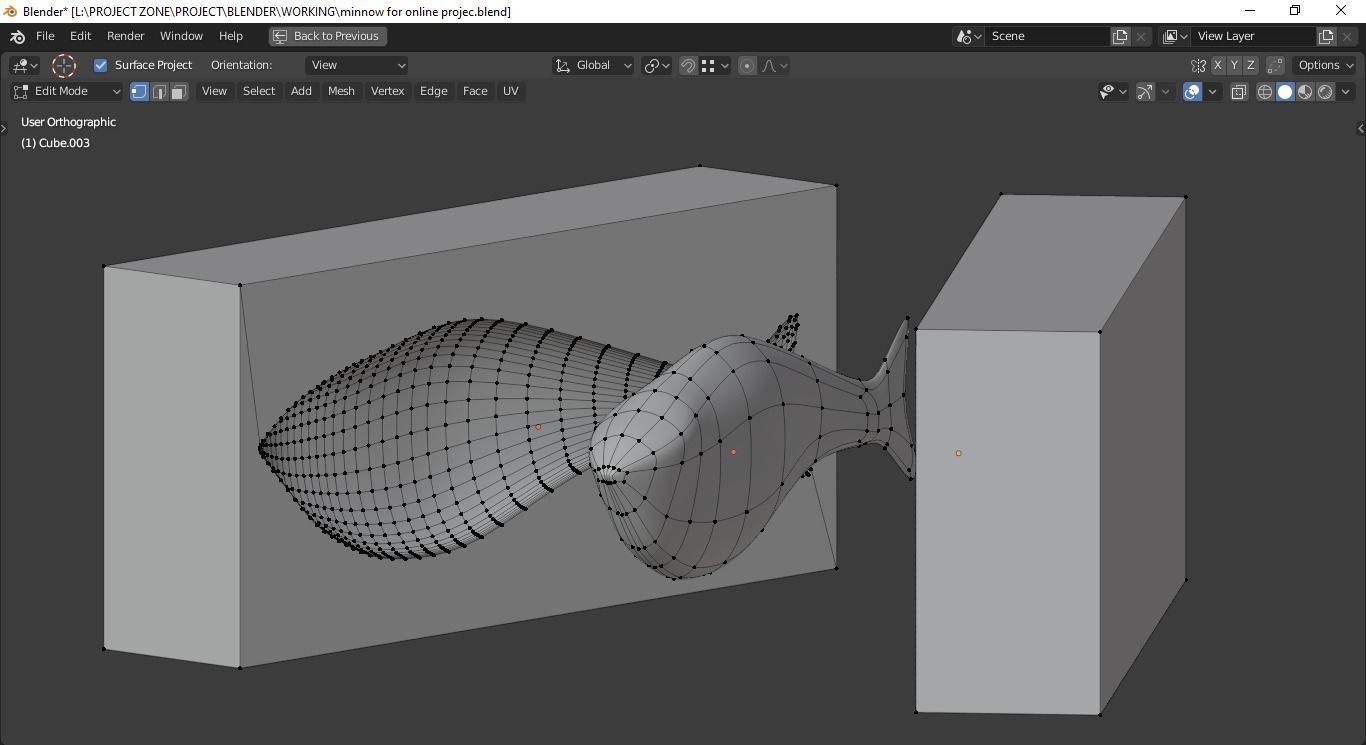 Minnow Mold 3D print model_9