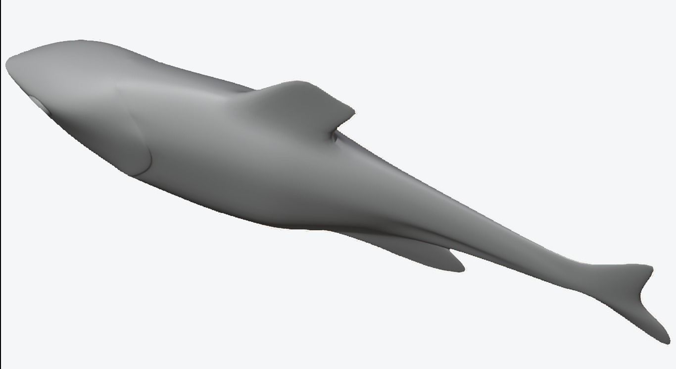 Minnow Mold 3D print model_5