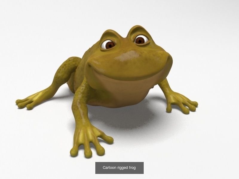 Cartoon zoo animals Mega pack 3D Model Collection_28