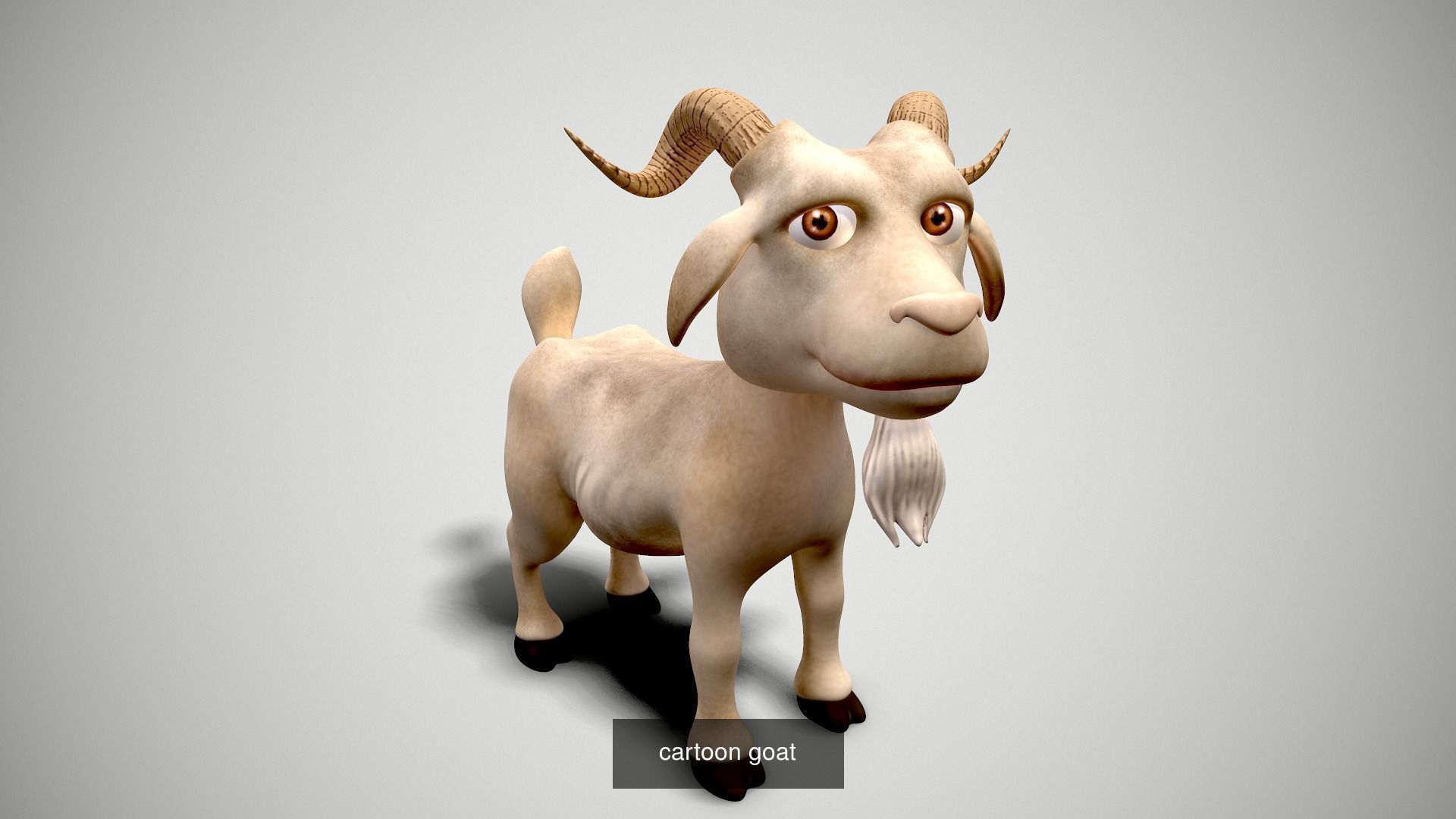 Cartoon zoo animals Mega pack 3D Model Collection_43