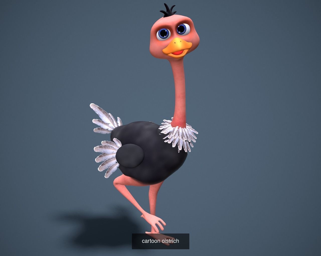 Cartoon zoo animals Mega pack 3D Model Collection_53