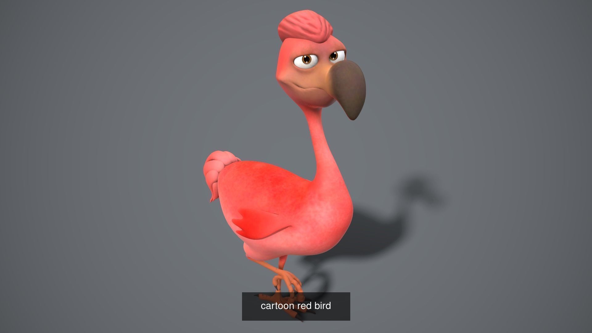 Cartoon zoo animals Mega pack 3D Model Collection_50
