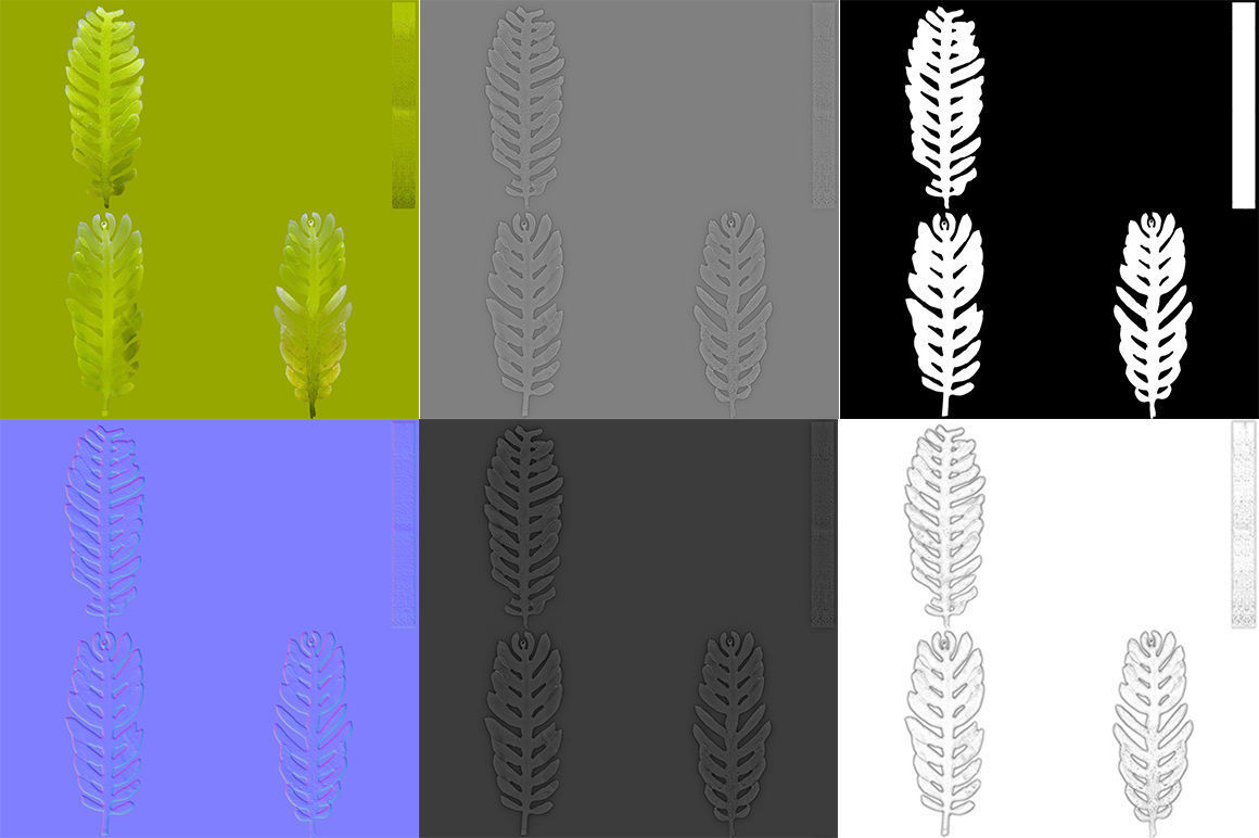 Seaweed Grean 3D model_7