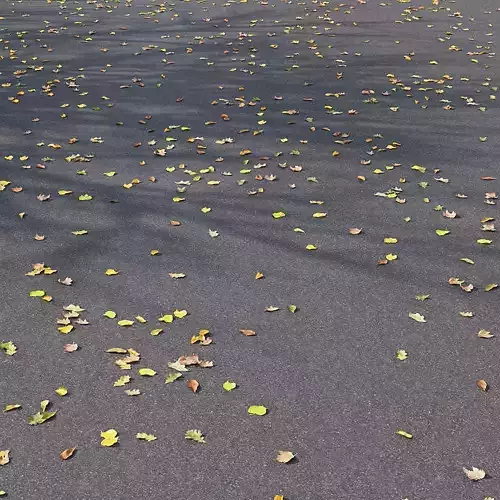 Asphalt With Leaves 01