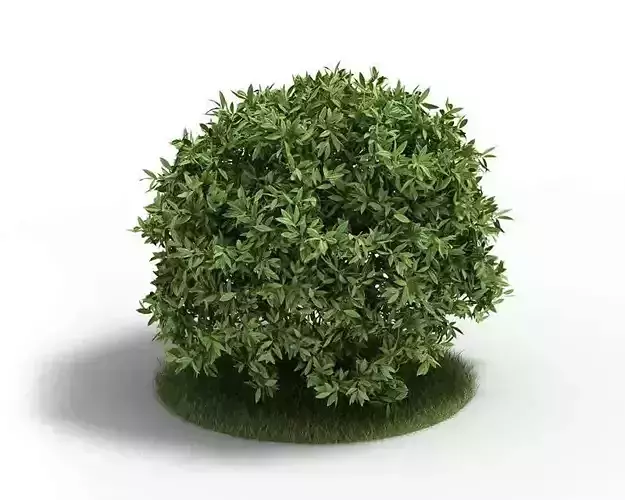 Artificial Green Bush