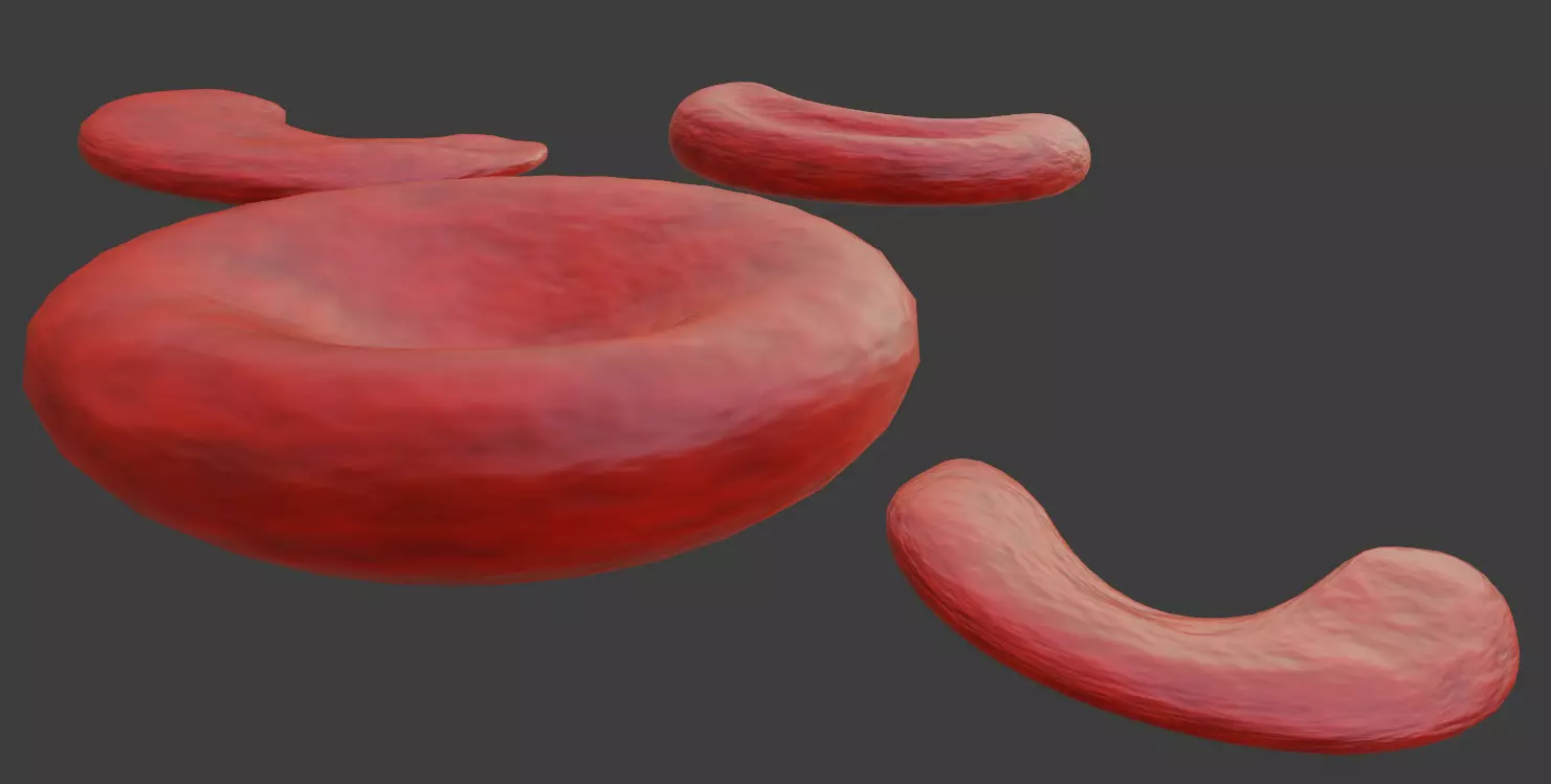 Sickle Cells Low-poly 3D model