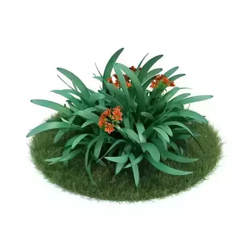 Green Plant With Orange Flowers