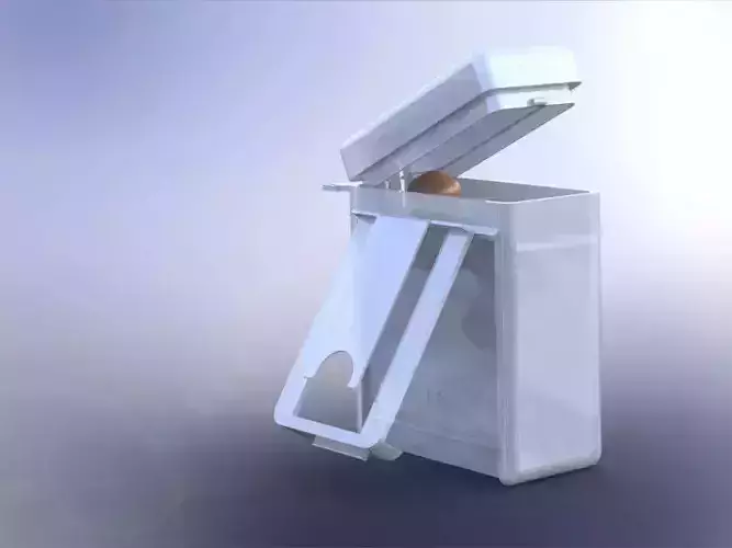 Ear Plugs Case and Plugs