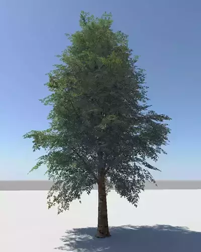 tree 3d 3D model