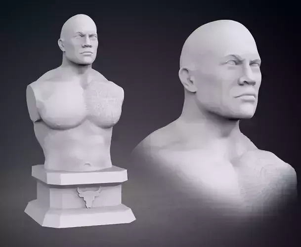The Rock Bust - Current Version 3D print model