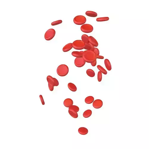Blood Cells v2 001 Low-poly 3D model
