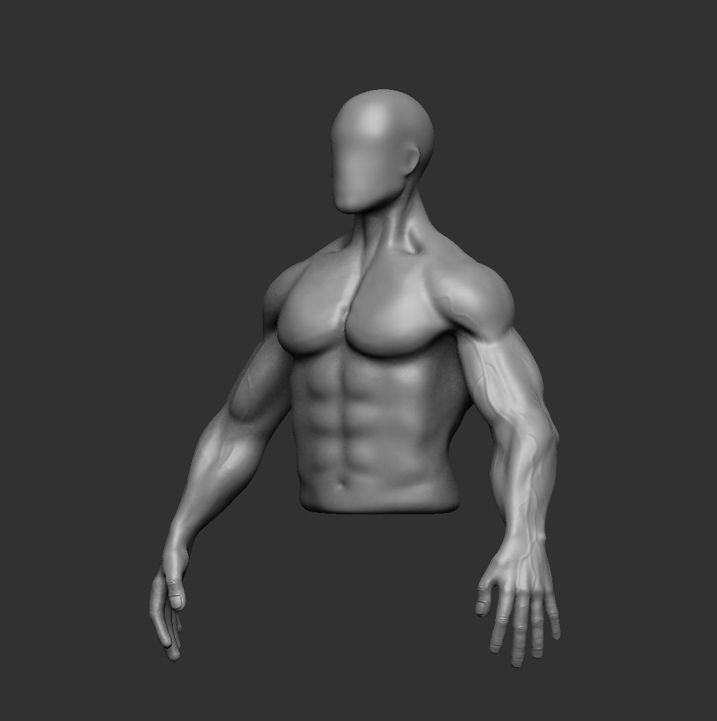 Muscular man body 3D model_5